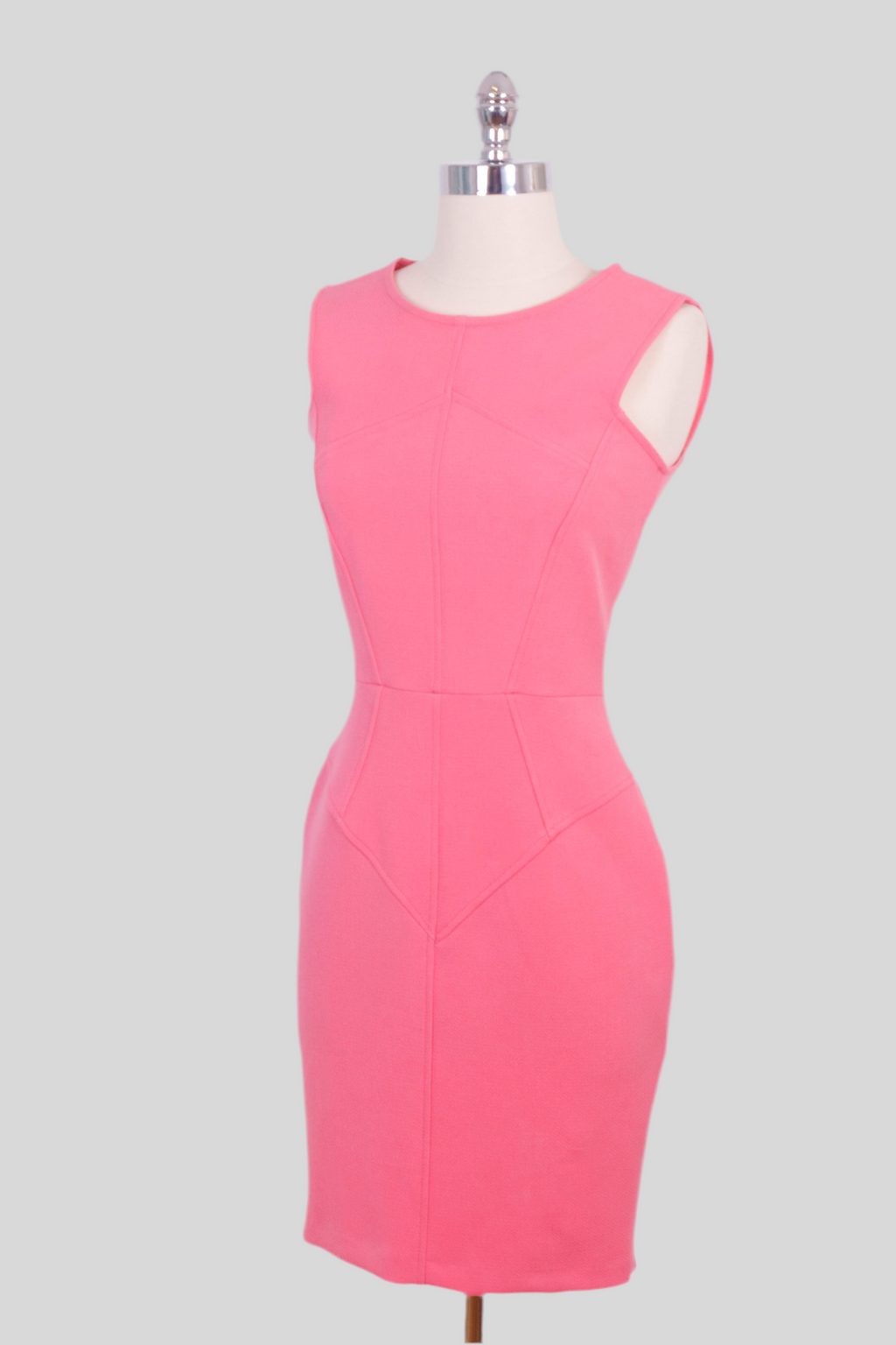 Pinch Pink Fitted Dress