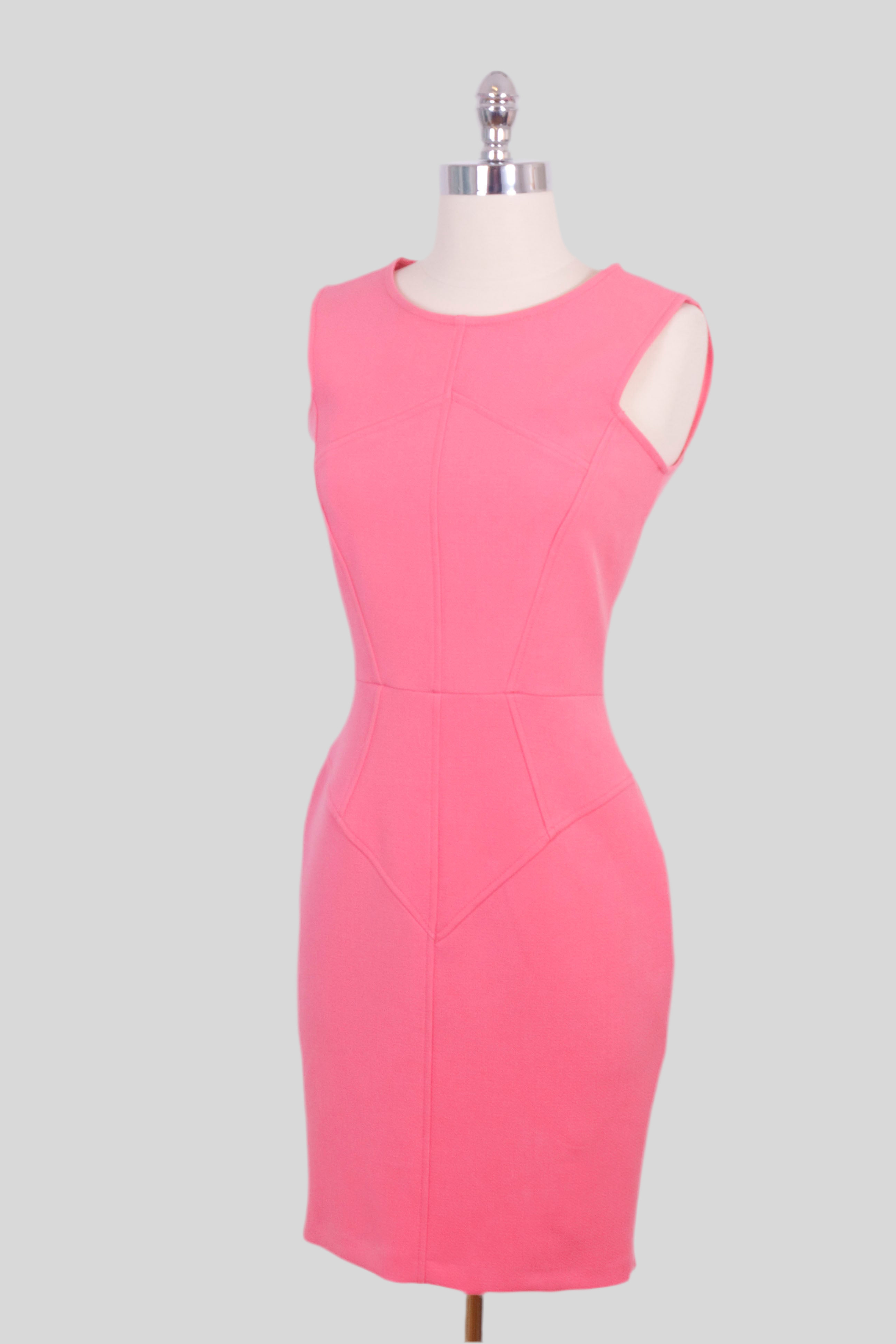 Pinch Pink Fitted Dress